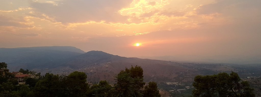 20170809-091954.jpg