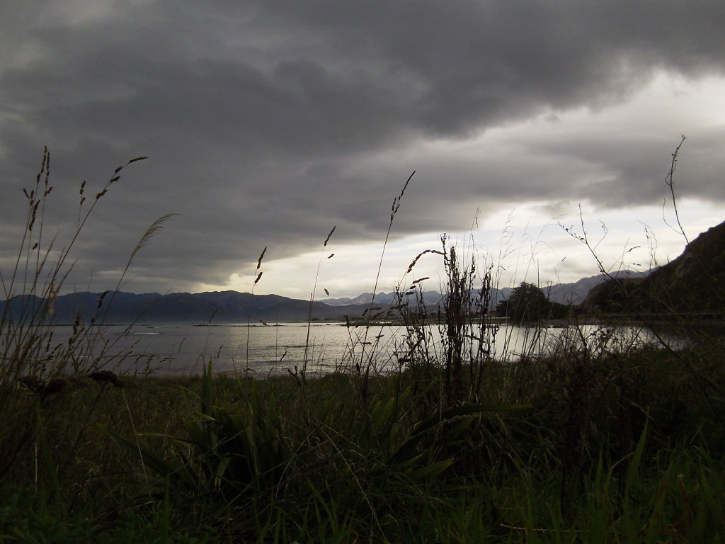 file001311.jpg