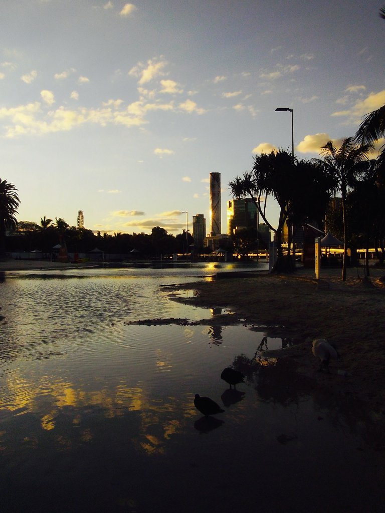 IMGP2113.jpg