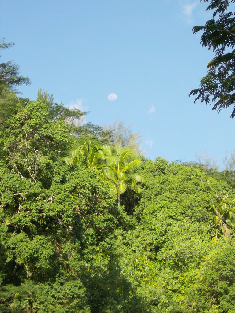 IMGP1275.JPG