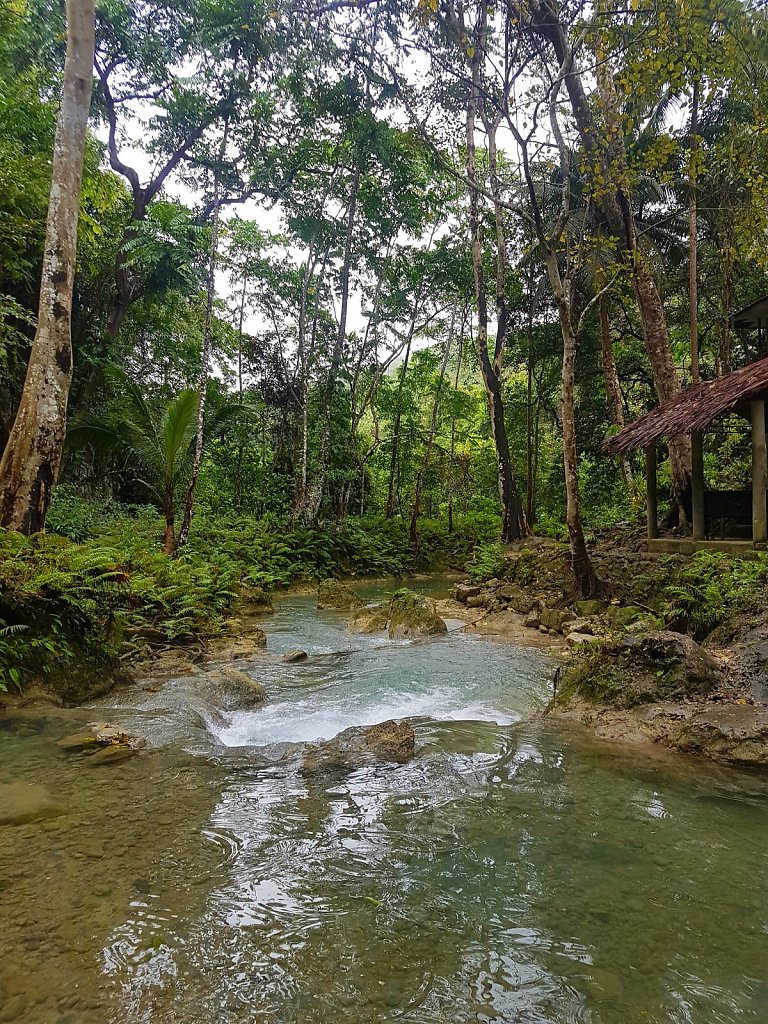 20180213-125259.jpg