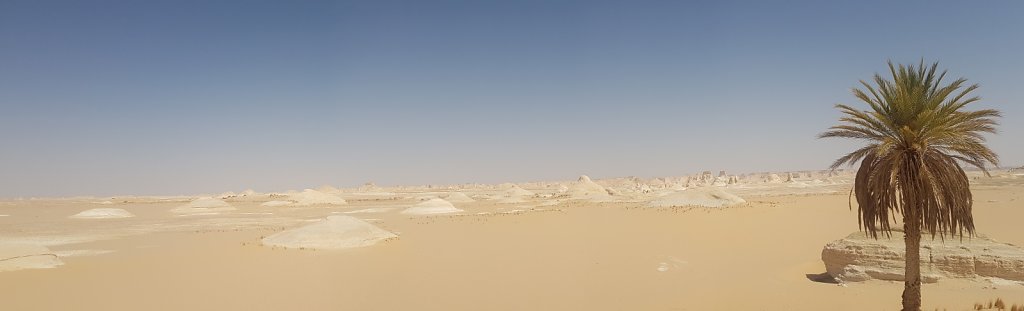 20180614-092743.jpg