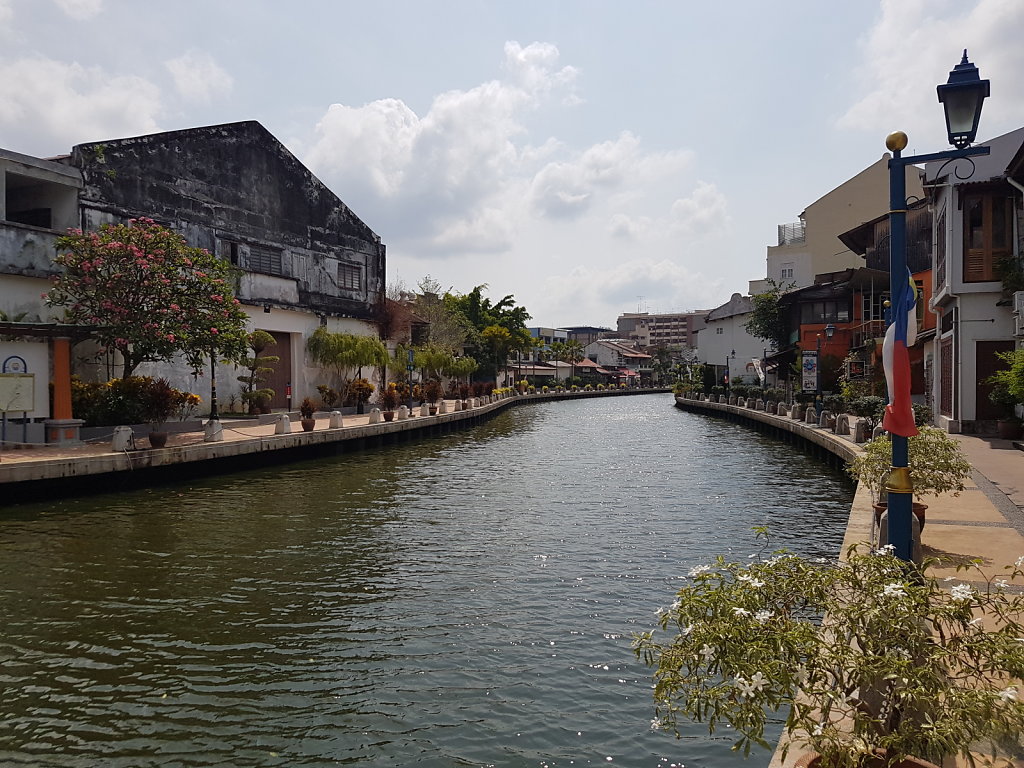 20190326-110152.jpg
