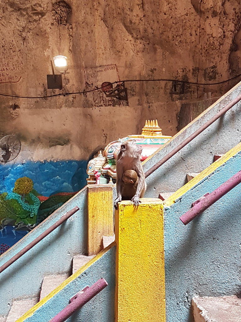 20190329-104852.jpg