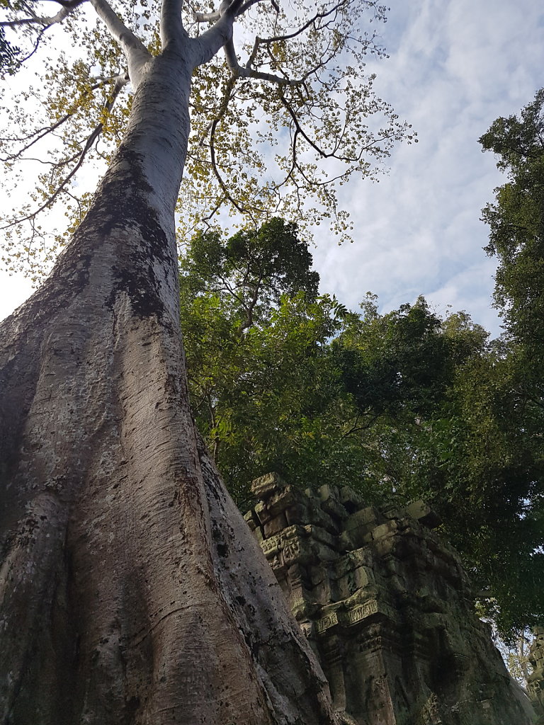 20191207-102544.jpg