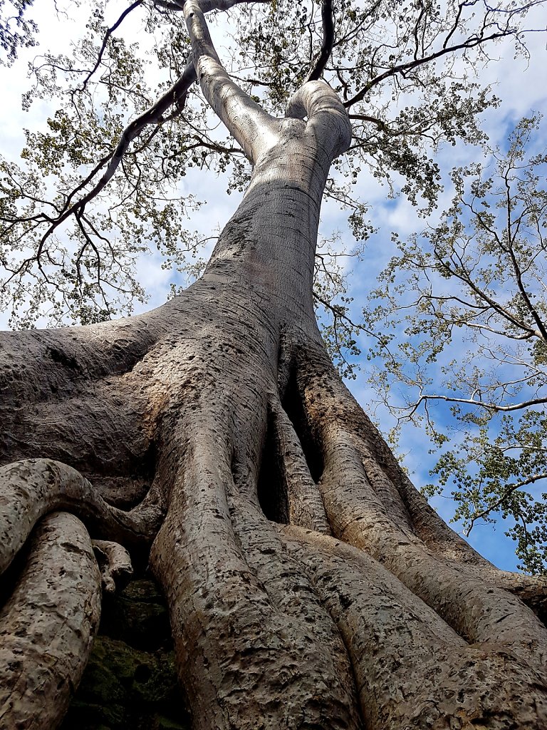 20191207-194951.jpg