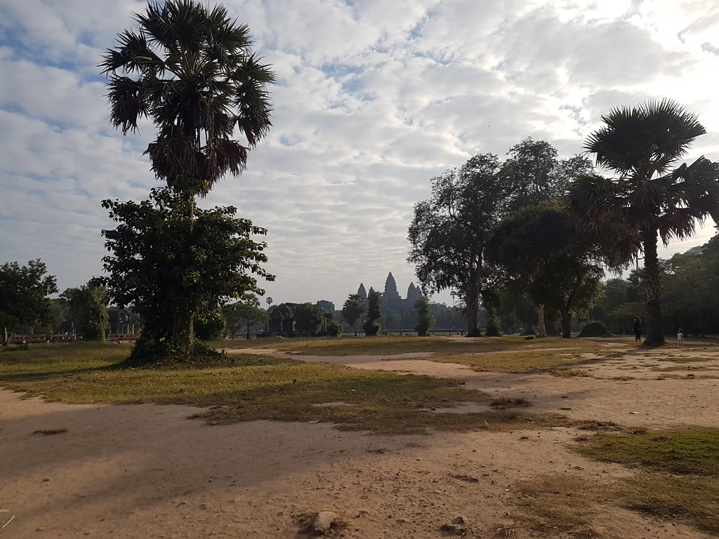 20191207-074204.jpg