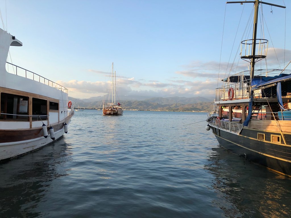 IMG-1655.jpeg